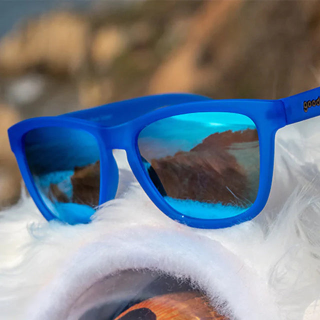 Falkor´s Fever Dreams