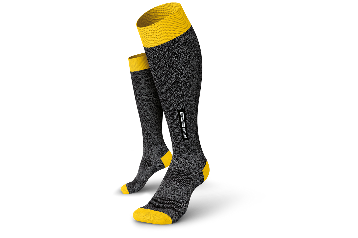Renewed Compression V1